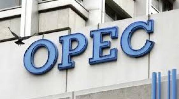 eful rosneft opec a murit