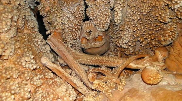 misterul celebrului om de altamura  cu un aspect morbid  a fost elucidat 