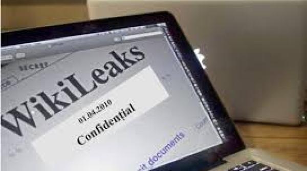 un fost ministru de externe sursa a ambasadei sua stenograma