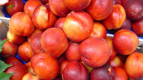 atentie la caisele si nectarinele din turcia ce spune ansvsa