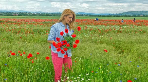 paula rusu nu ma las de data asta nu mai lupt pentru mine