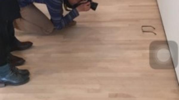 imagini senza ionale la muzeu ce au admirat vizitatorii