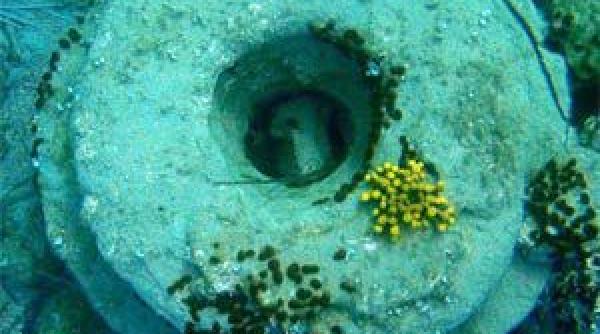 surpriza pe care au avut o cercetatorii cand studiau ruinele unui oras antic