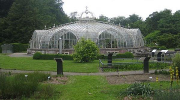 descoperire incredibila intr o gradina botanica se intampla foarte rar