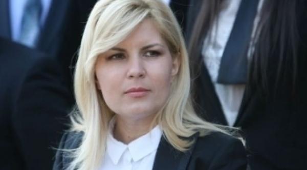 elena udrea replica pentru catalin tolontan compara i mere cu pere