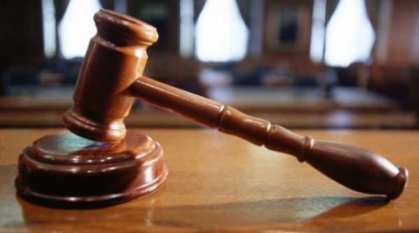 articolul din legea speciala  cu care lucreaza dna  declarat constitutional