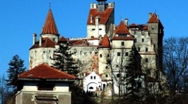 castelul bran invadat de cele mai frumoase pisici din lume