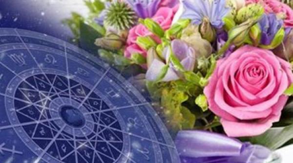 horoscop anotimpul in care e ti in cea mai buna forma in func ie de zodie