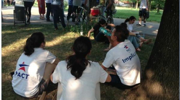 farapenali pinocchio pentru alesi cum poti protesta legal fara a fi mafalda