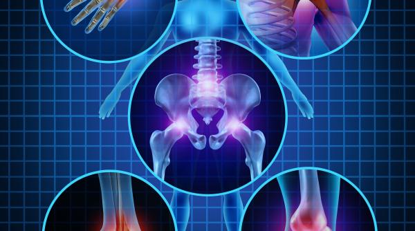 sanador primul centru de tratament pentru persoanele sportive din romania