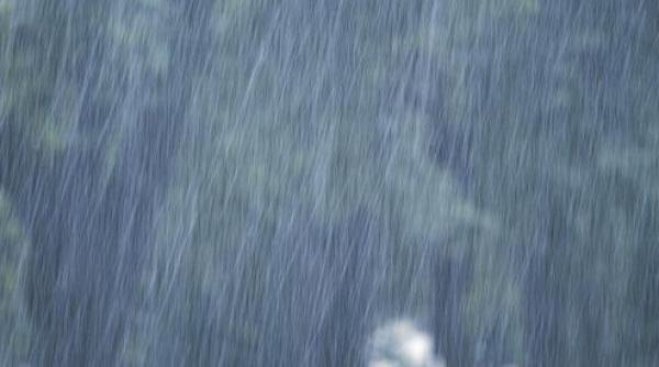 imagini de co mar pe dn 1 in urma unei ploi torentiale