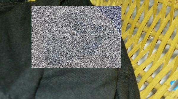 istoric renumit cere ajutorul dupa un caz atroce impotriva animalelor