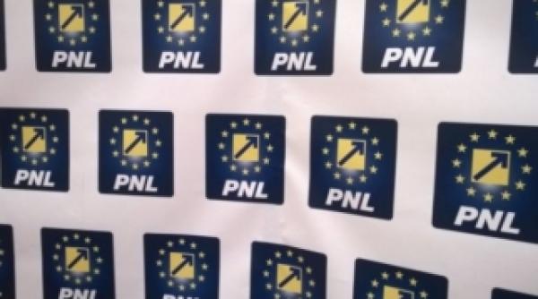 pe cine propune pnl viceprimar al capitalei