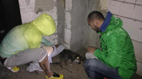 decizia ocanta luata de fondatorul kola kariola dupa scandalul cu andreea marin