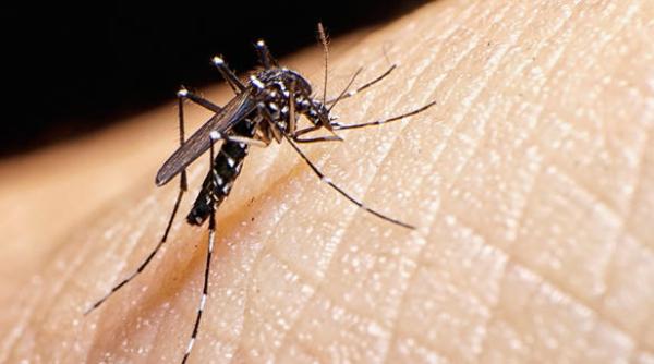 al doilea caz de infectare cu zika in romania