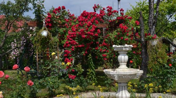 prognoza meteo cum va fi vremea in weekend