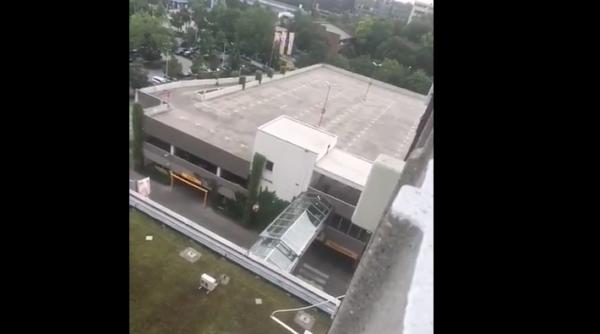 impu caturi munchen atacator sunt german video