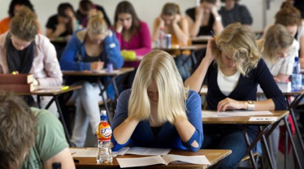 profesiile viitorului cursuri gratuite la marii jucatori mondiali