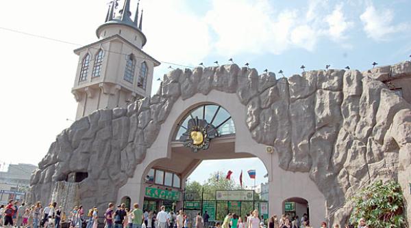 baie el de numai cinci ani angajat la o gradina zoo