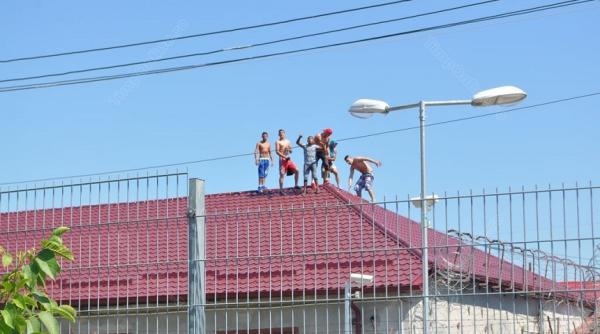 pnl proiect ocant cum vor liberalii sa fie executate pedepsele