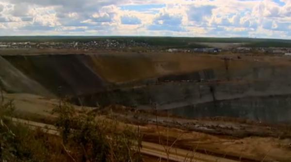 creatura bizara descoperita de minerii de diamantee