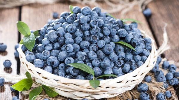 dieta cu afine cum po i da burta jos