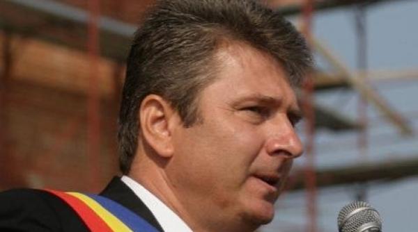 consiliul local voluntari decizie in memoria reginei ana