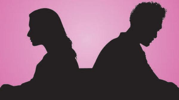 ilie nastase divor eaza