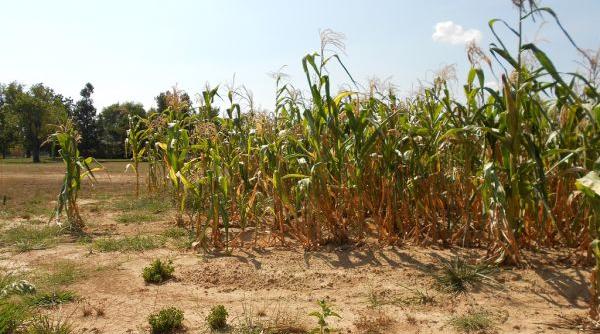 ministrul agriculturii da lovitura fermierilor