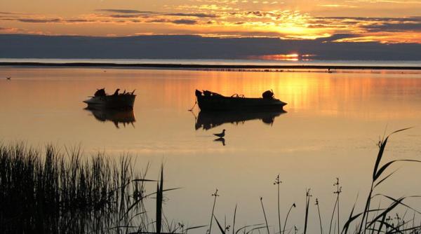 imagini extrem de rare in delta dunarii foto