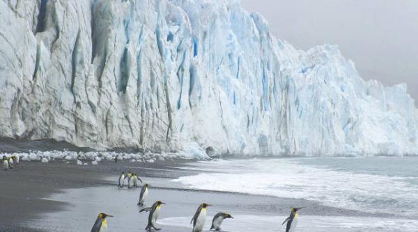 predic ie sumbra ce se va intampla cu taramul arctic pana in 2018