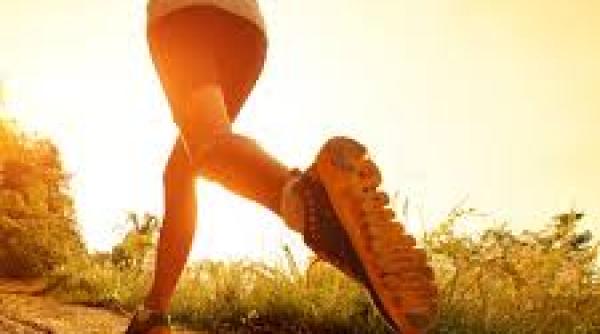 exerci iul care i antreneaza mai multe grupe musculare intr un minut