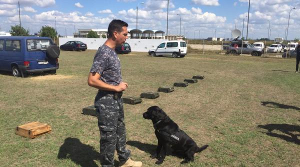 anaf ul pune cainii la grani a