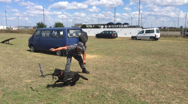 anaf se intare te cu echipe canine cainii iau mirosul contrabandi tilor