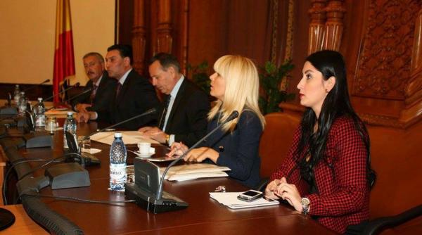 efa de cabinet a elenei udrea decizie importanta