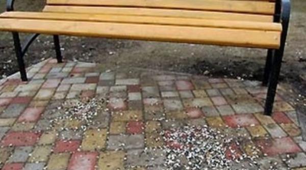 primarul unei comune foc i para pe localnici sunteti niste nesimtiti