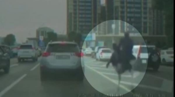 scene de necrezut un barbat calare pe un strut goneste printre ma ini video