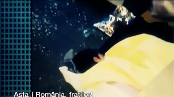 fra iorii care dorm intr o cutie la doi pa i de poli ie imagini sfa ietoare