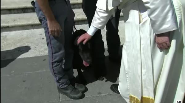 de ce a binecuvantat papa francisc un caine