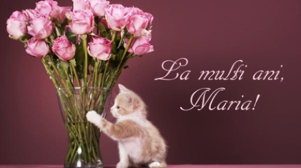 sfanta maria mica 8 septembrie mesaje frumoase pentru sarbatori i