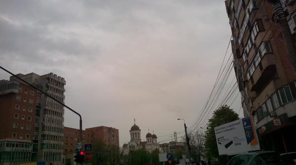 tuta absoluta a facut ravagii la buzau