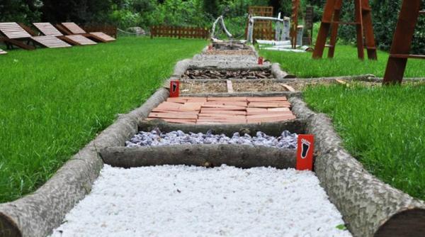 sanatatea prinde radacini in gradina cu remedii un proiect marca secom