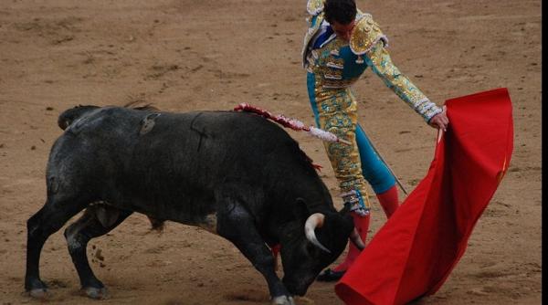 spaniolii manifesta ie pentru interzicerea coridelor