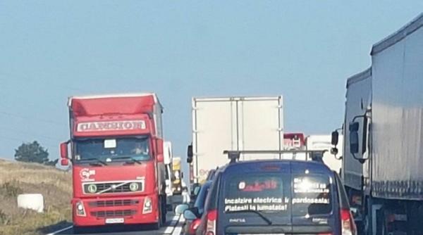 transportul intern din romania ar putea fi preluat de straini ce spune basescu