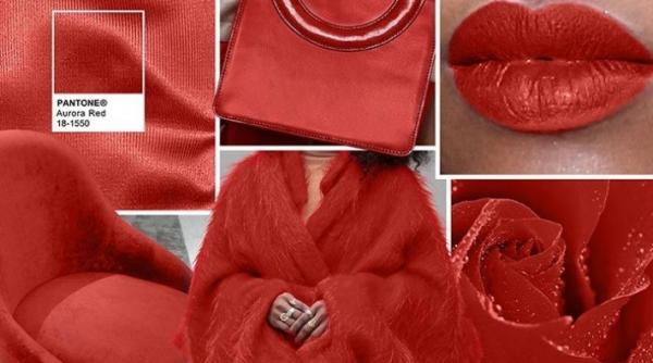 ce culori se poarta in aceasta toamna