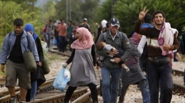 germania nou record de imigranti