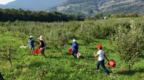 elena udrea intr o ipostaza inedita