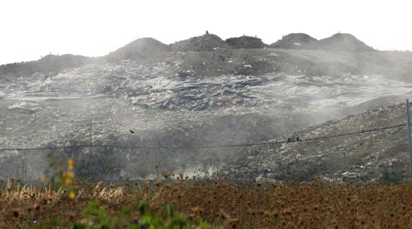 zeci de mii de romani afecta i industria ilegala care da batai de cap