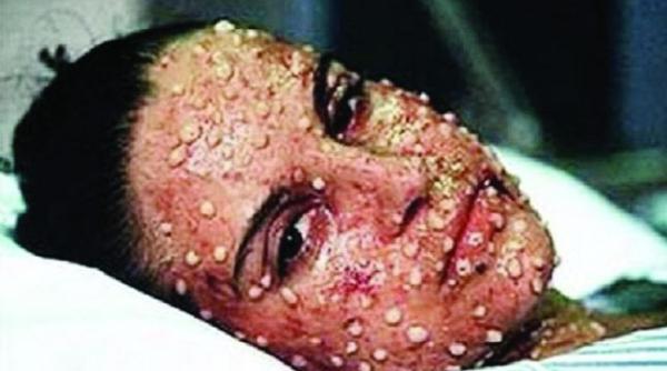 daca olivia steer arata a a o mai credeai