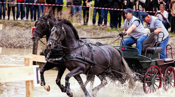 surpriza in parcul herastrau inainte de karpatia horse show 2016